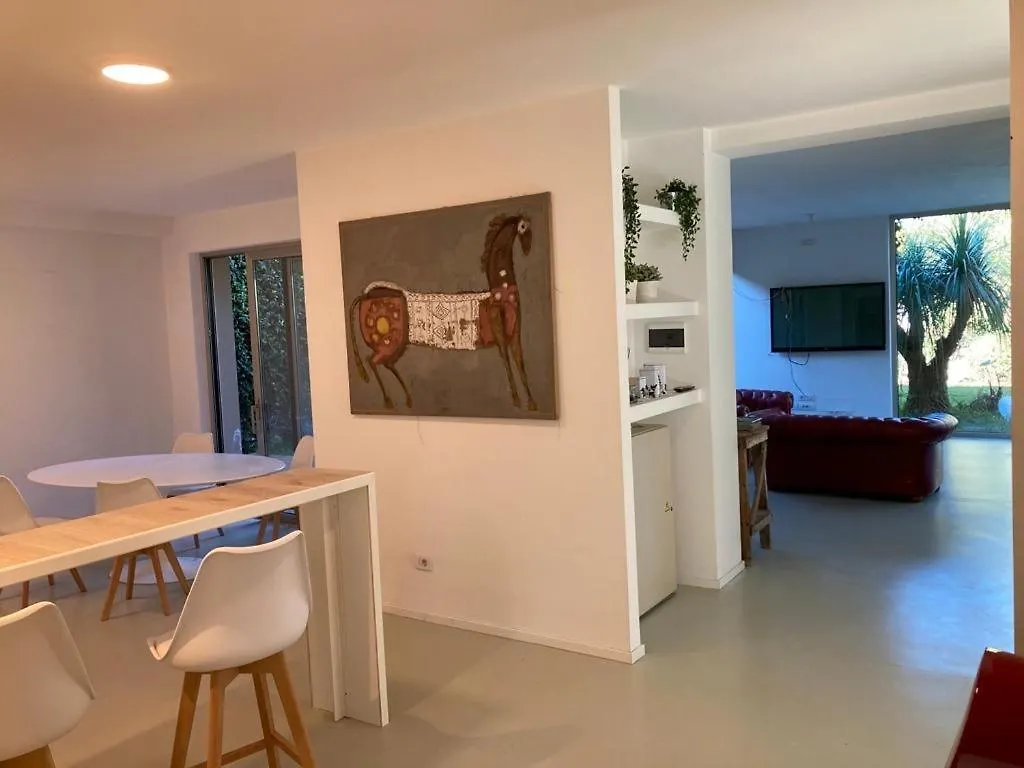 Appartamento Joey Pietrasanta